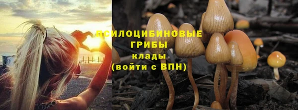 экстази Белокуриха