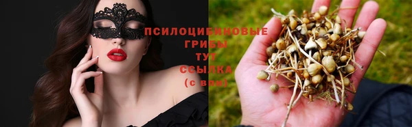 экстази Белокуриха