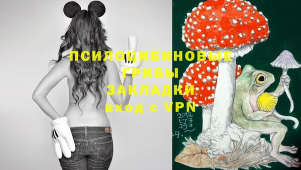 экстази Белокуриха