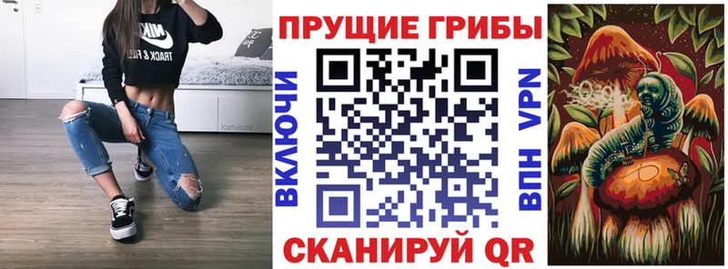 Псилоцибиновые грибы GOLDEN TEACHER Великий Устюг